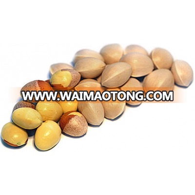 Quality Gingko nut